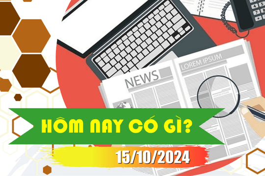 Hôm nay có gì? Ngày 15/10/2024