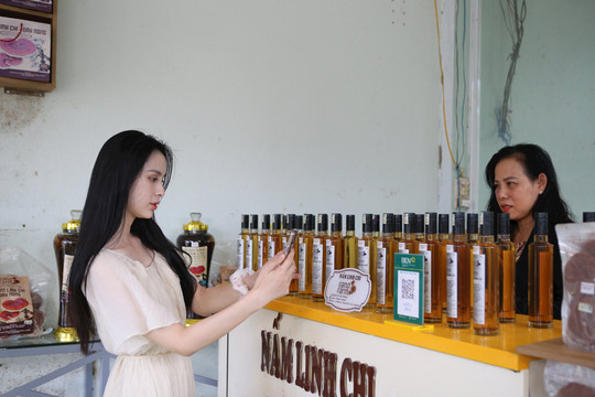 Kinh tế số Đắk Nông và mục tiêu tăng trưởng 12-20%