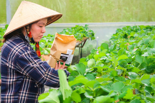 Tập huấn, tuyên truyền gắn với xây dựng mô hình khuyến nông