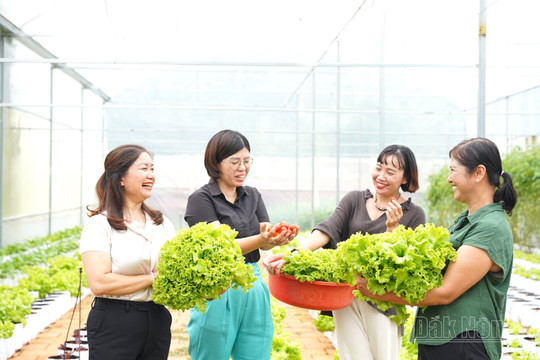 Đắk Nông nỗ lực thu hút, tập hợp hội viên, phụ nữ
