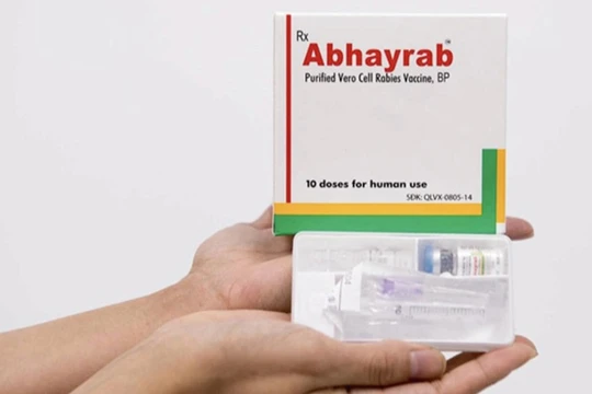 Gia Lai: Phân bổ 500 liều vaccine phòng bệnh dại miễn phí cho các xã khu vực III