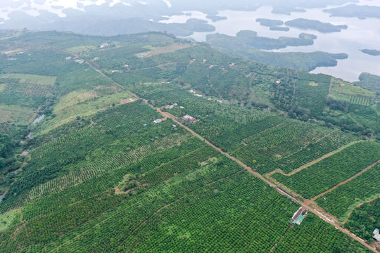 Luật Đất đai năm 2024 giải tỏa nhu cầu đa mục đích trên đất