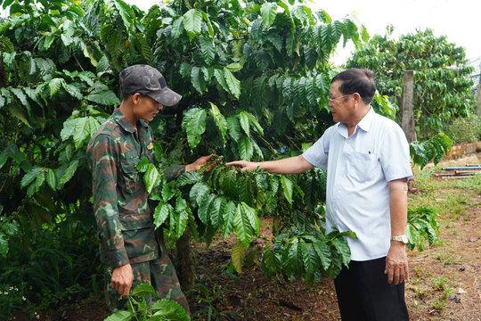 Một đảng viên người công giáo ở Đắk Nông trọn việc Đảng, tròn việc dân