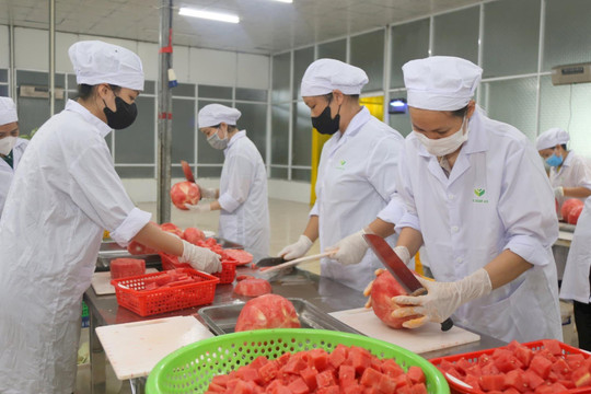Cải thiện môi trường đầu tư Đắk Nông vẫn chưa hết những rào cản