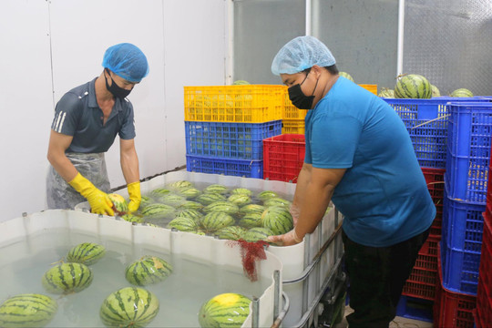 Doanh nghiệp Đắk Nông đồng hành với ngành Thuế