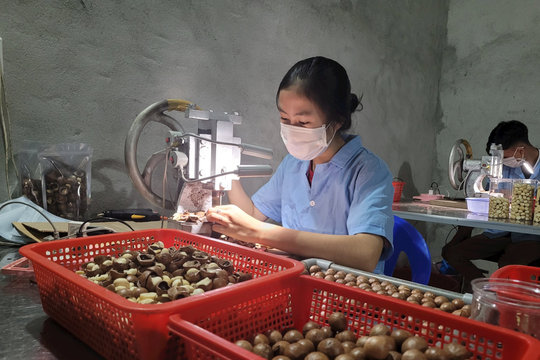 Đắk Nông có 5 sản phẩm đạt cấp khu vực miền Trung - Tây Nguyên