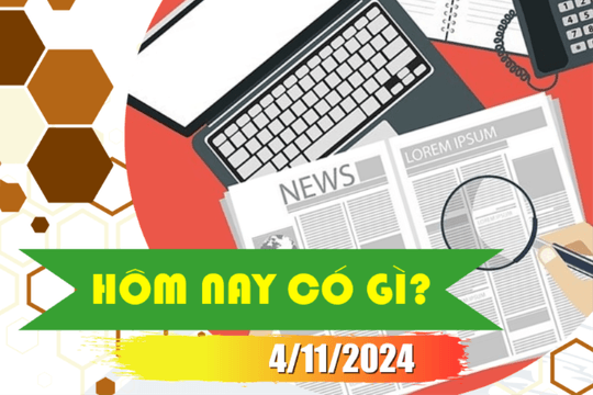 Hôm nay có gì? Ngày 4/11/2024
