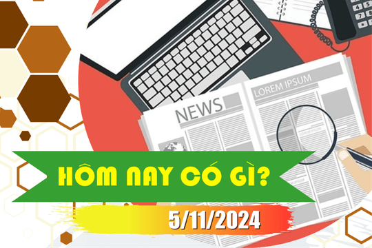 Hôm nay có gì? Ngày 5/11/2024