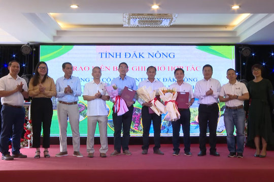 Ngành hàng cà phê Đắk Nông tuân thủ quy định chống phá rừng