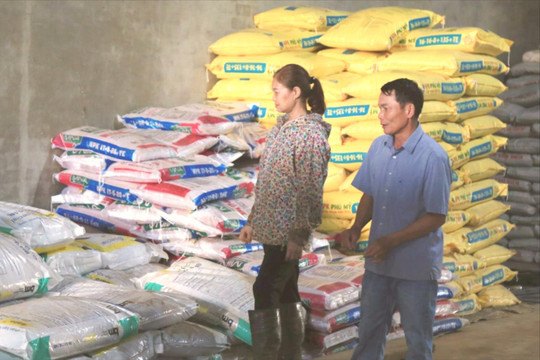 Gian nan kiểm định chất lượng phân bón