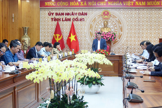 Hoàn thiện kịch bản chương trình khai mạc, bế mạc Festival Hoa Đà Lạt lần thứ X