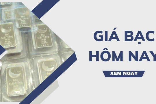 Giá bạc hôm nay 14/11/2024: Bạc phục hồi nhẹ sau đợt giảm trước đó