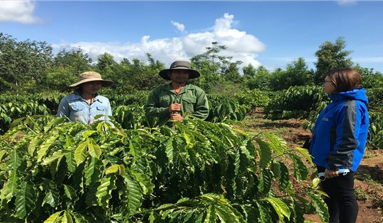 Ngọc Hồi (Kon Tum): Phấn đấu 100% hộ DTTS có đất ở, đất sản xuất