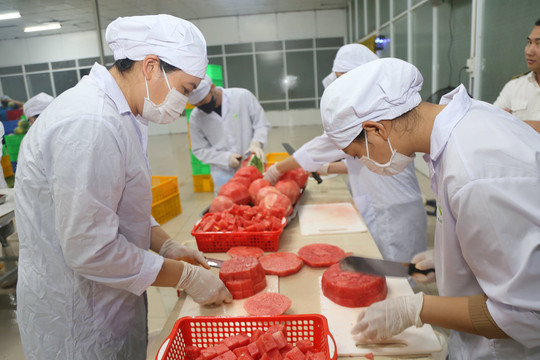 Hơn 80% doanh nghiệp Đắk Nông chưa vay ngân hàng - mừng hay lo?