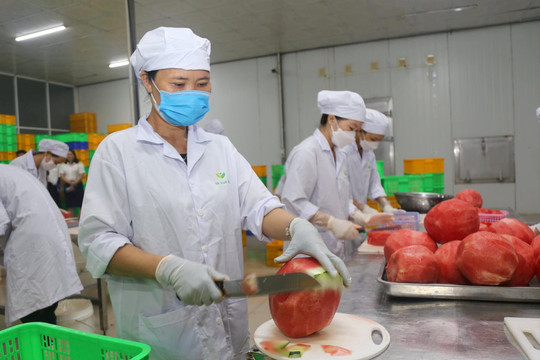 Doanh nghiệp Đắk Nông vì đâu nên nỗi khó vay ngân hàng