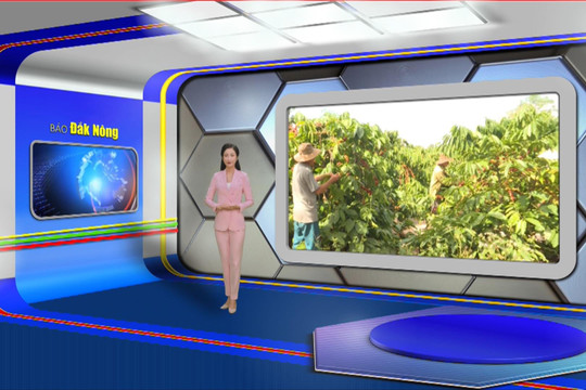 Chương trình Tin tức Đắk Nông ngày 25/11/2024