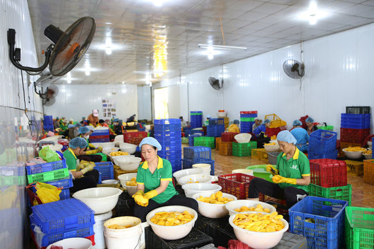 Thương mại, dịch vụ Đắk Nông và những bước tiến mới