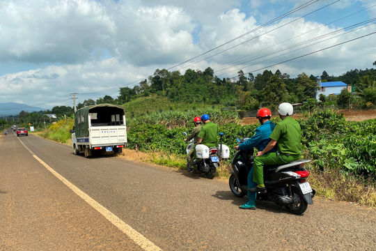 Đắk Nông tăng tuần tra, lập chốt bảo vệ cà phê