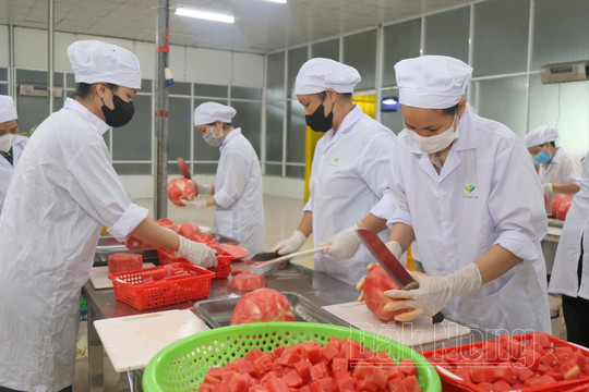 Khơi trong môi trường đầu tư Đắk Nông