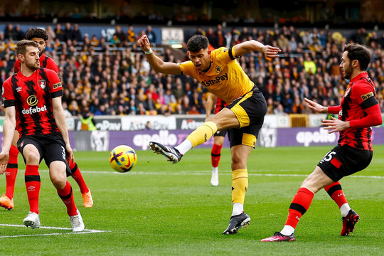 Wolves vs Bournemouth ngày 30/11: Dự đoán tỷ lệ thắng từ thành tích, phong độ đối đầu