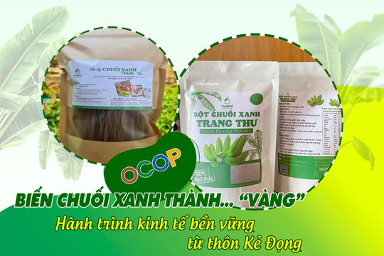 Biến chuối xanh thành… “vàng”: Hành trình kinh tế bền vững từ thôn Kẻ Đọng