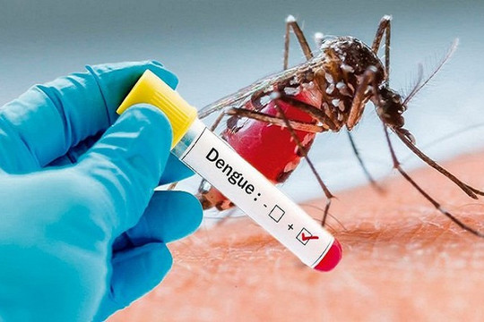 Phòng tránh sốt xuất huyết: Tiêm vaccine, diệt muỗi, diệt bọ gậy