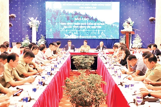 Kiểm kê rừng tại các tỉnh vùng Tây Nguyên