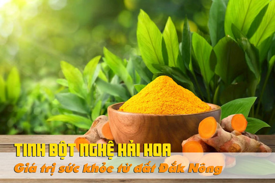 Tinh bột nghệ Hải Hoa: Giá trị sức khỏe từ đất Đắk Nông