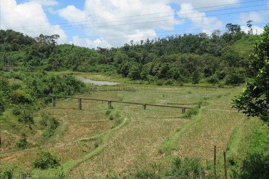 Kon Tum: Động đất có độ lớn 3,8 xảy ra tại huyện Kon Plông