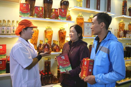 Sản phẩm OCOP Đắk Nông hối hả vào vụ tết