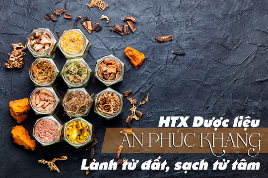 HTX Dược liệu An Phúc Khang: Lành từ đất, sạch từ tâm