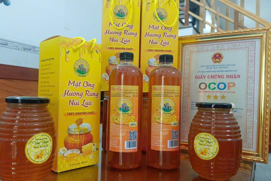 Mật ong Vân Phạm: Hương rừng núi lửa Đắk Nông