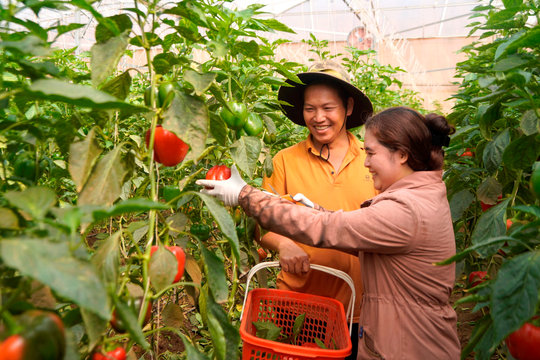 Huyện biên giới Đắk Nông chuẩn bị chu đáo đại hội đảng các cấp