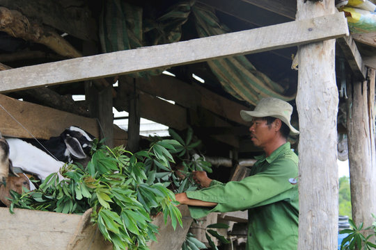 Người dân Krông Nô thụ hưởng chính sách ưu việt của Nhà nước