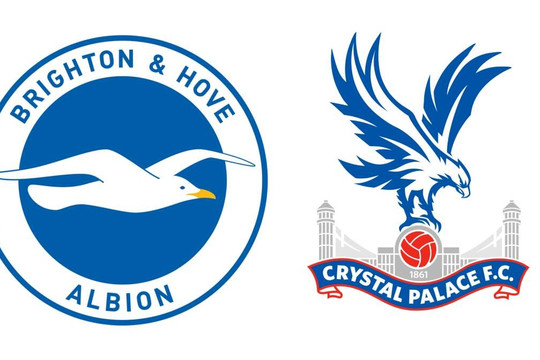 Lịch sử đối đầu Brighton vs Crystal Palace trước trận Premier League 15/12/2024