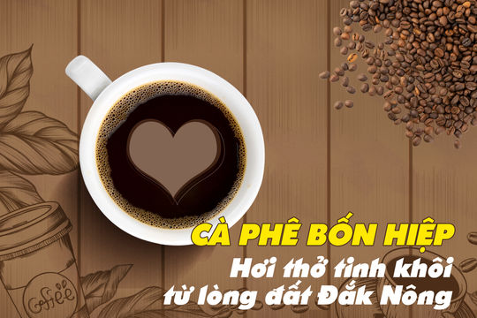 Cà phê Bốn Hiệp: Hơi thở tinh khôi từ lòng đất Đắk Nông