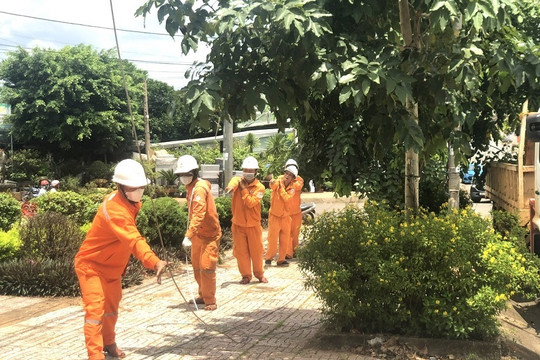 PC Đắk Nông bảo đảm cung ứng điện ổn định dịp tết