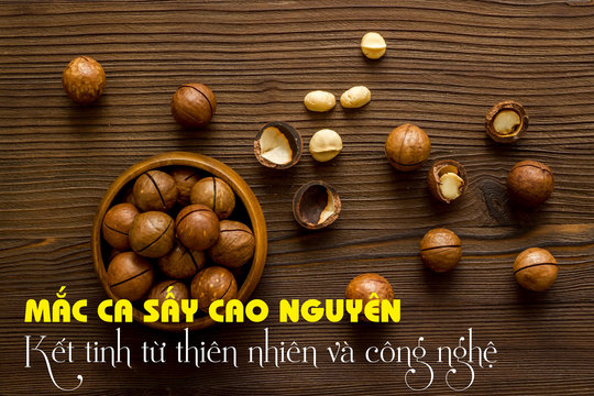 Mắc ca sấy Cao Nguyên: Kết tinh từ thiên nhiên và công nghệ