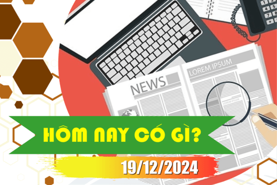 Hôm nay có gì? Ngày 19/12/2024