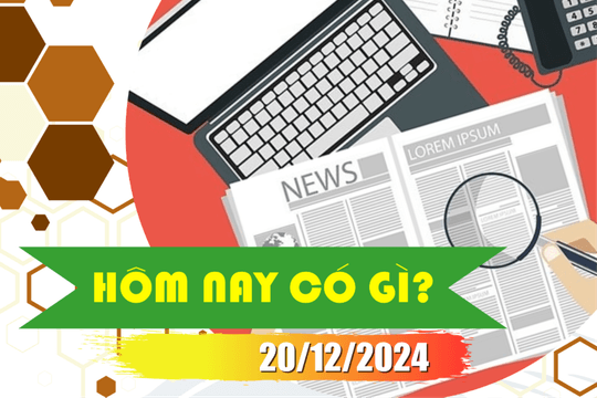 Hôm nay có gì? Ngày 20/12/2024