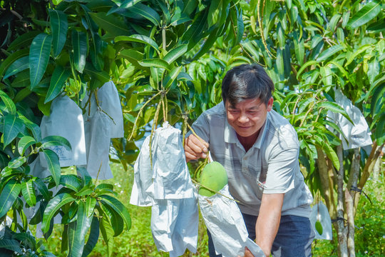 Quả ngọt trên vùng đất núi lửa Đắk Nông