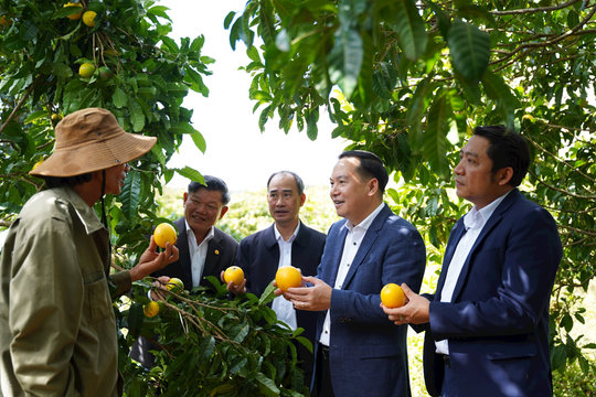 Phát huy sức mạnh đoàn kết, xây dựng Đắk Nông giàu đẹp