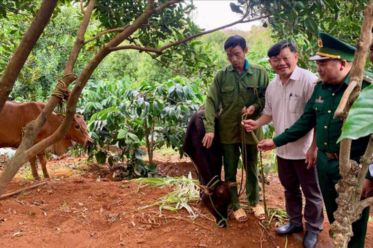 Trao tặng 7 con bò sinh sản cho hộ nghèo tại huyện biên giới Đắk Nông