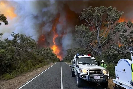Thảm họa cháy rừng ở Australia: 74.000ha rừng bị thiêu rụi