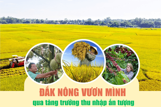 Đắk Nông vươn mình qua tăng trưởng thu nhập ấn tượng