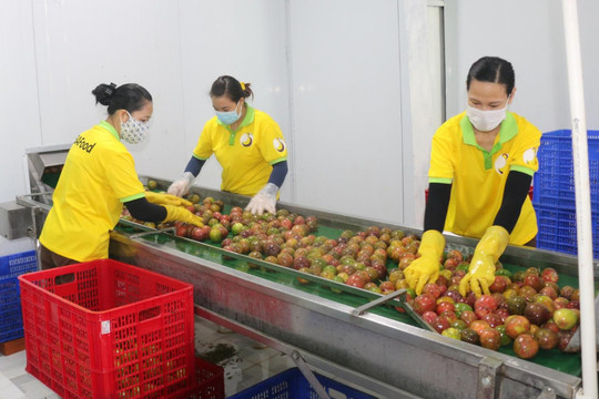 Mở rộng dư địa cho tăng trưởng kinh tế Đắk Nông