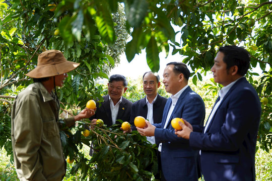 Đắk Nông tạo đồng thuận trong xây dựng nông thôn mới