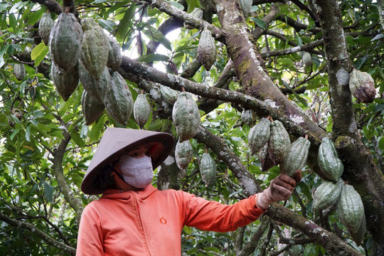 Sản xuất xanh ở Đắk Nông