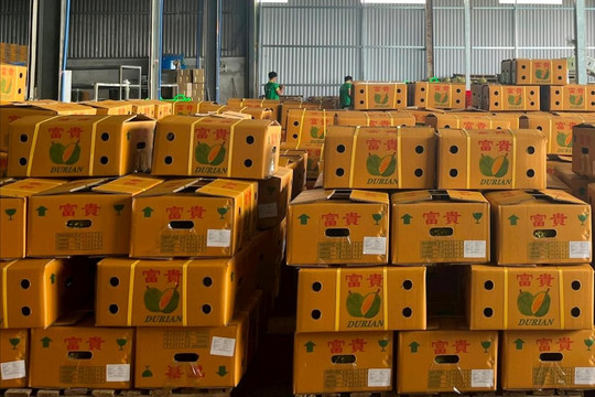 Doanh nghiệp Đắk Nông làm gì để có chứng nhận EUDR?