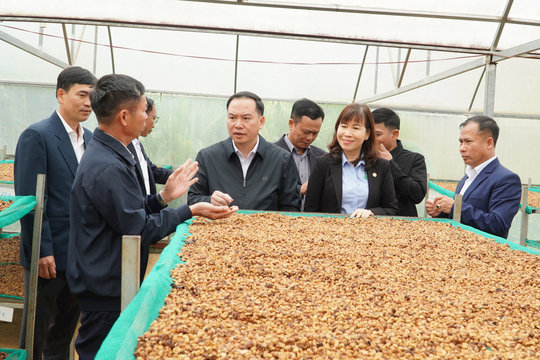Đắk Song tập trung lãnh đạo tổ chức thành công đại hội đảng các cấp